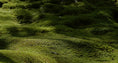 Load image into Gallery viewer, 商品5
